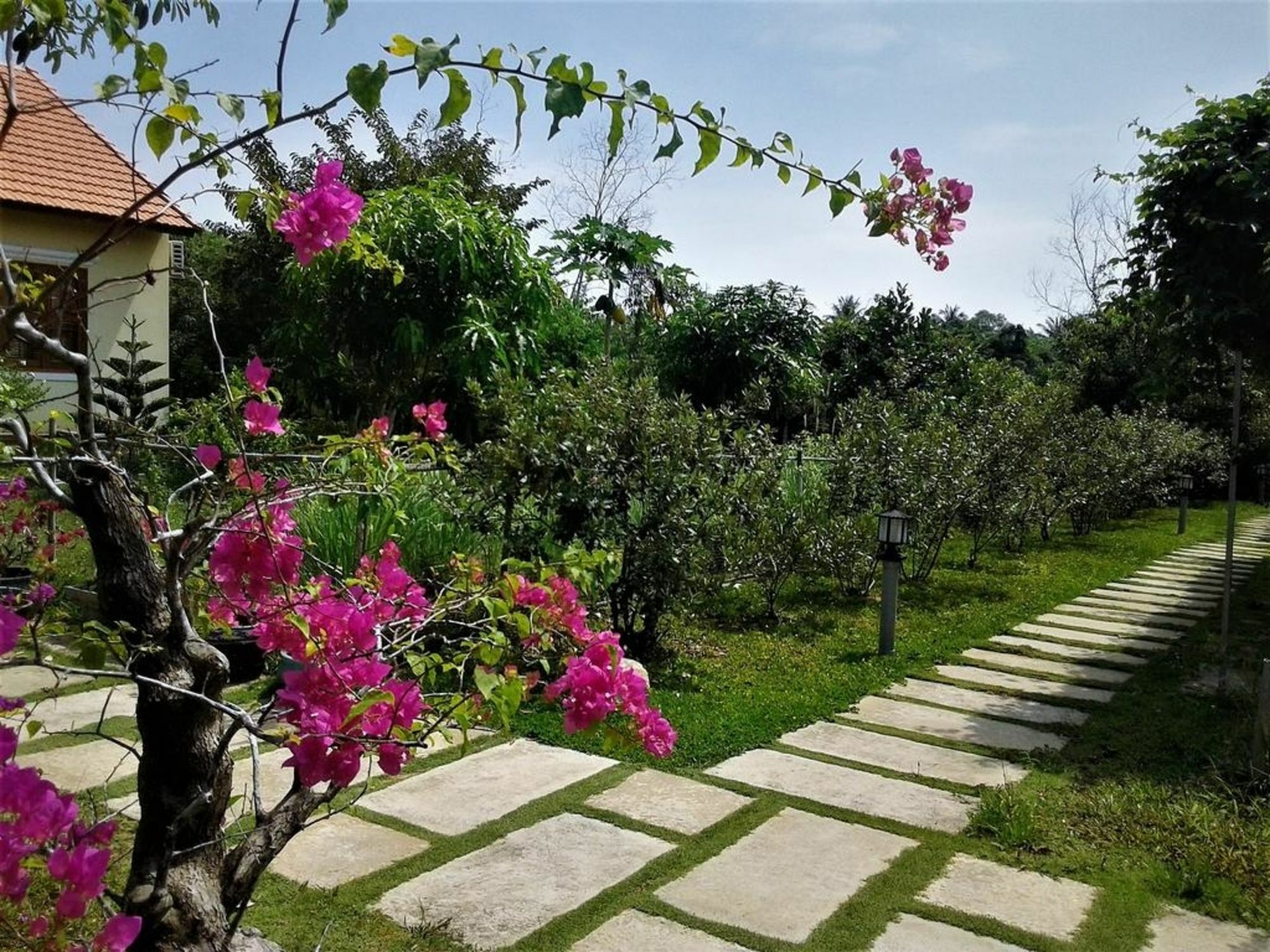 Spring Garden Homestay Фу Куок Екстериор снимка