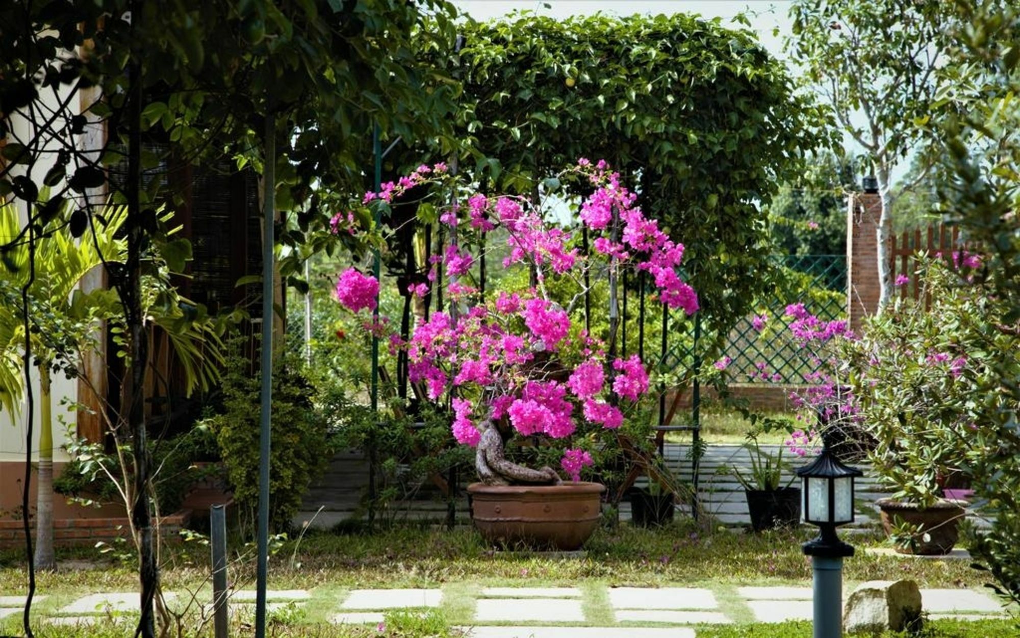 Spring Garden Homestay Фу Куок Екстериор снимка