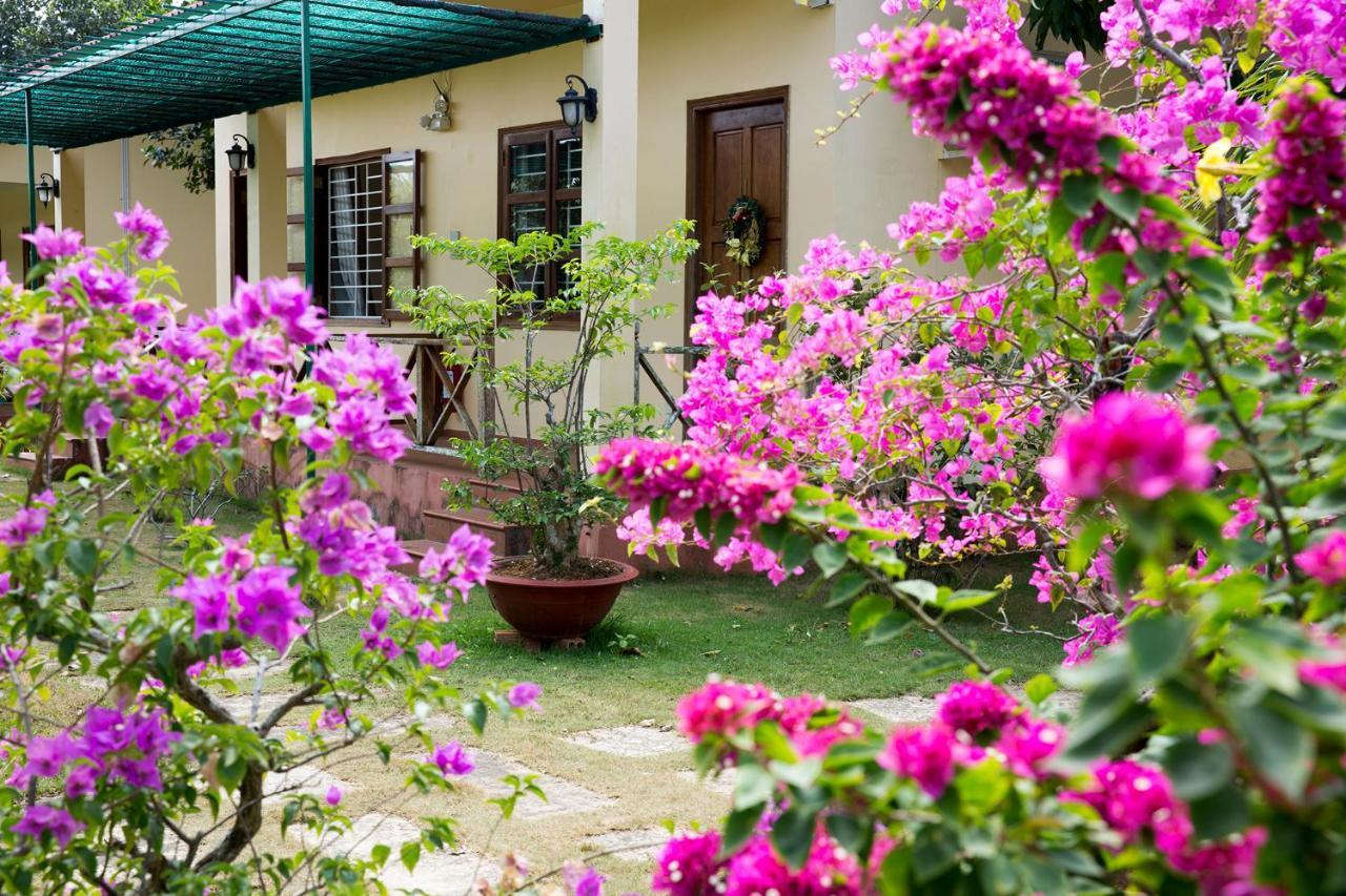 Spring Garden Homestay Фу Куок Екстериор снимка